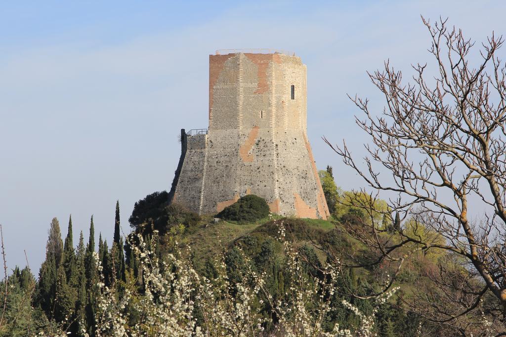 Апартаменты La Terrazza Sulla Val D'Orcia Кастильоне-д'Орчия Экстерьер фото
