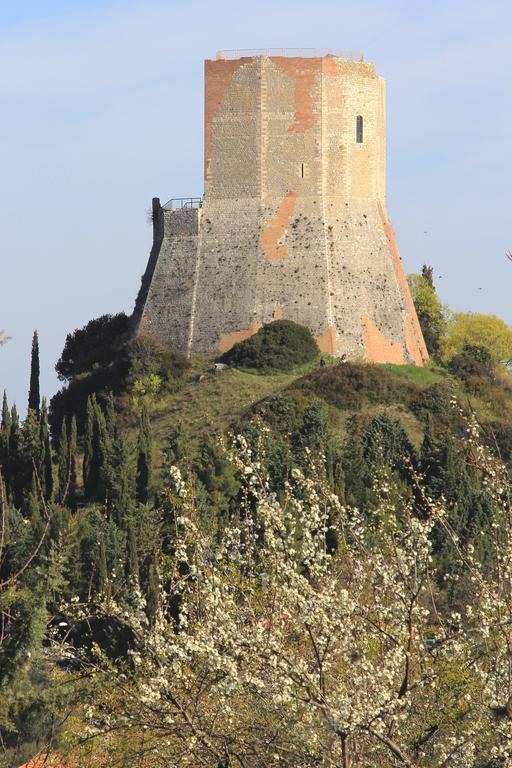 Апартаменты La Terrazza Sulla Val D'Orcia Кастильоне-д'Орчия Экстерьер фото