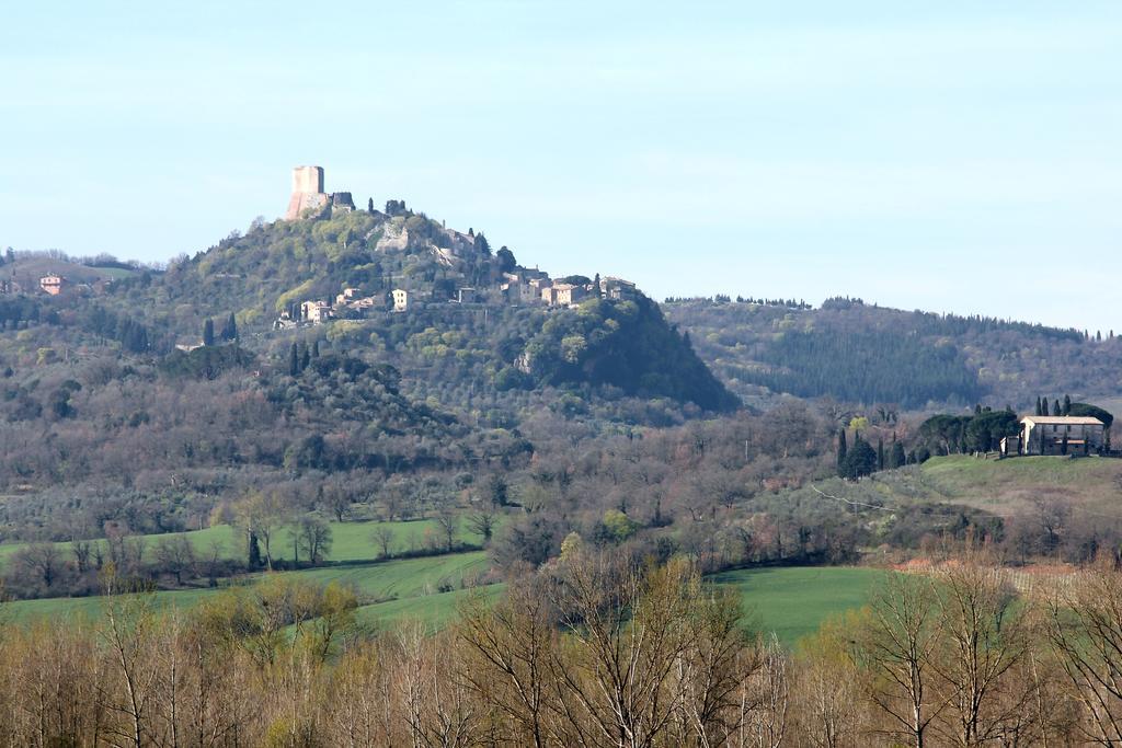 Апартаменты La Terrazza Sulla Val D'Orcia Кастильоне-д'Орчия Экстерьер фото