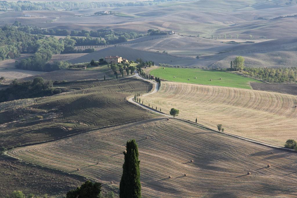 Апартаменты La Terrazza Sulla Val D'Orcia Кастильоне-д'Орчия Экстерьер фото