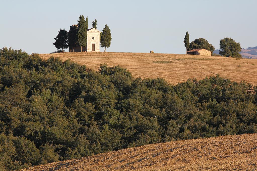 Апартаменты La Terrazza Sulla Val D'Orcia Кастильоне-д'Орчия Экстерьер фото