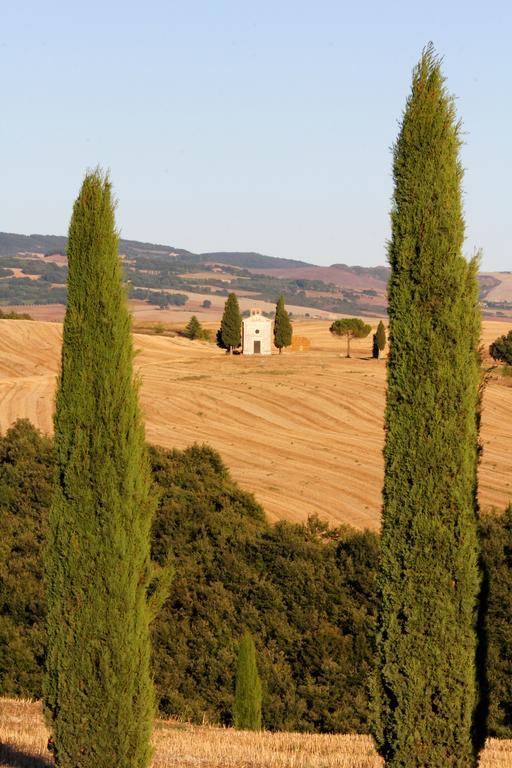 Апартаменты La Terrazza Sulla Val D'Orcia Кастильоне-д'Орчия Экстерьер фото