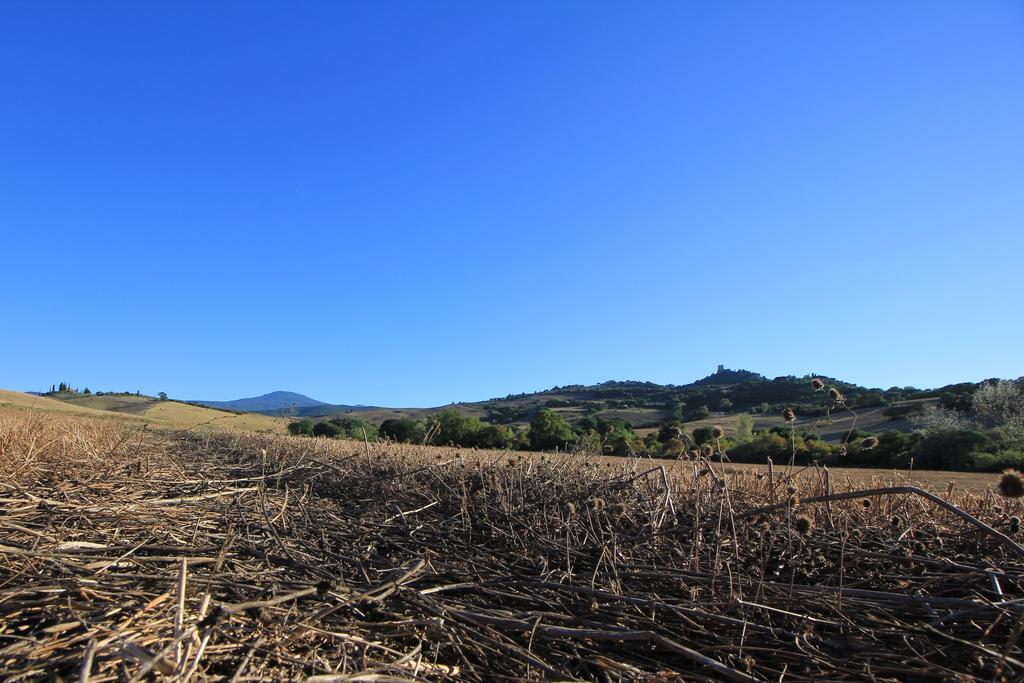 Апартаменты La Terrazza Sulla Val D'Orcia Кастильоне-д'Орчия Экстерьер фото
