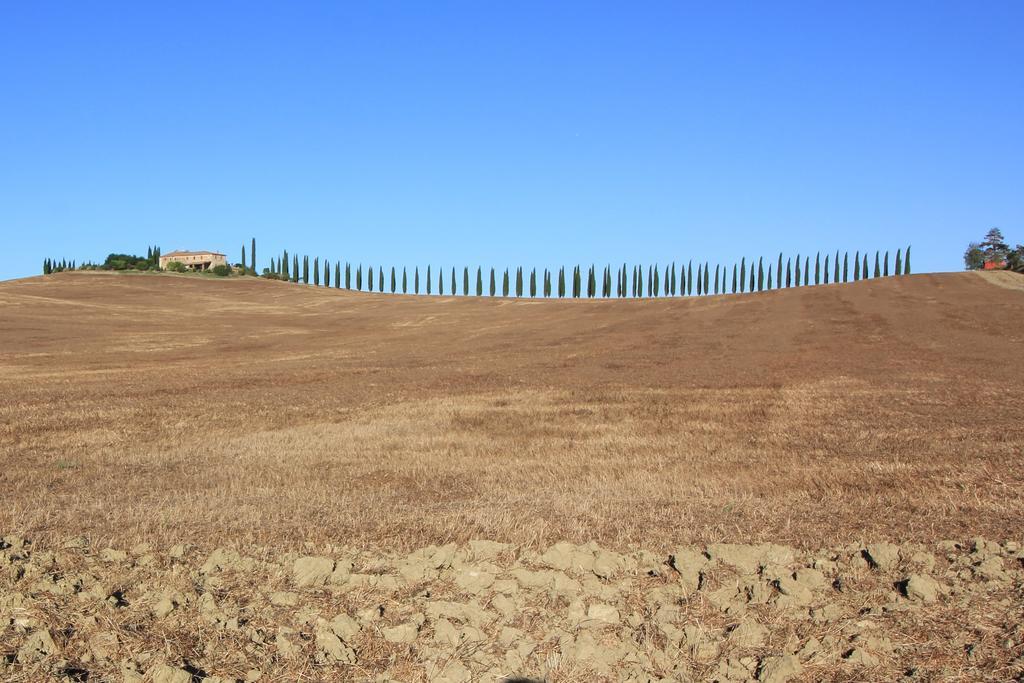 Апартаменты La Terrazza Sulla Val D'Orcia Кастильоне-д'Орчия Экстерьер фото