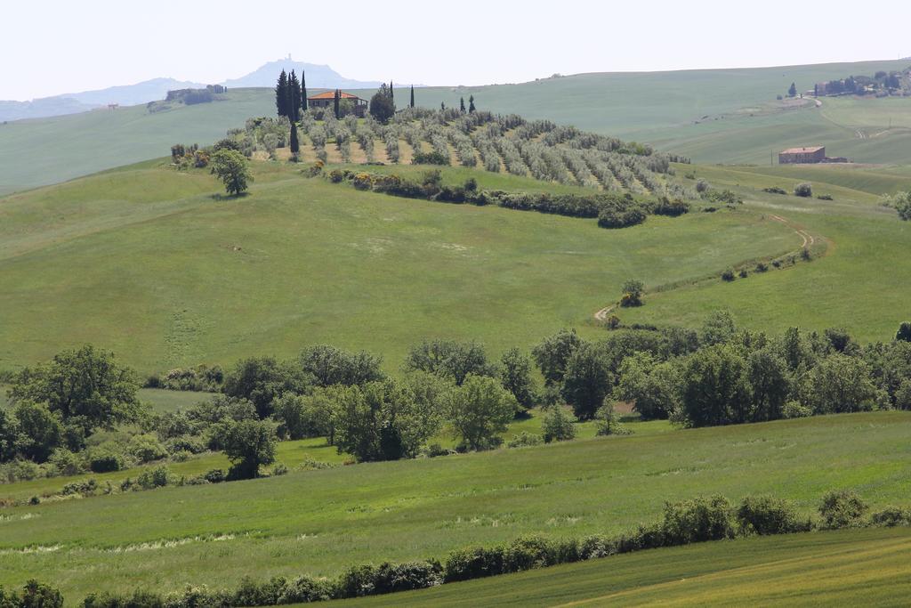 Апартаменты La Terrazza Sulla Val D'Orcia Кастильоне-д'Орчия Экстерьер фото